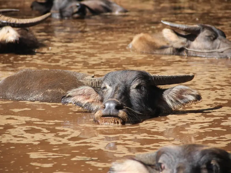 挽回水瓶座男友绝招：水瓶座男友提出分手，挽回该怎么做呢？