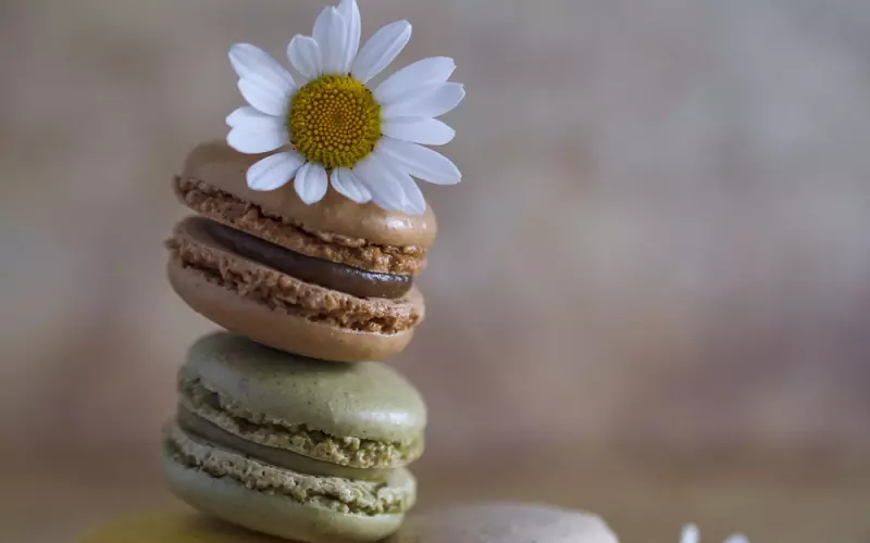 挽回爱情秘籍 四个攻略挽回他