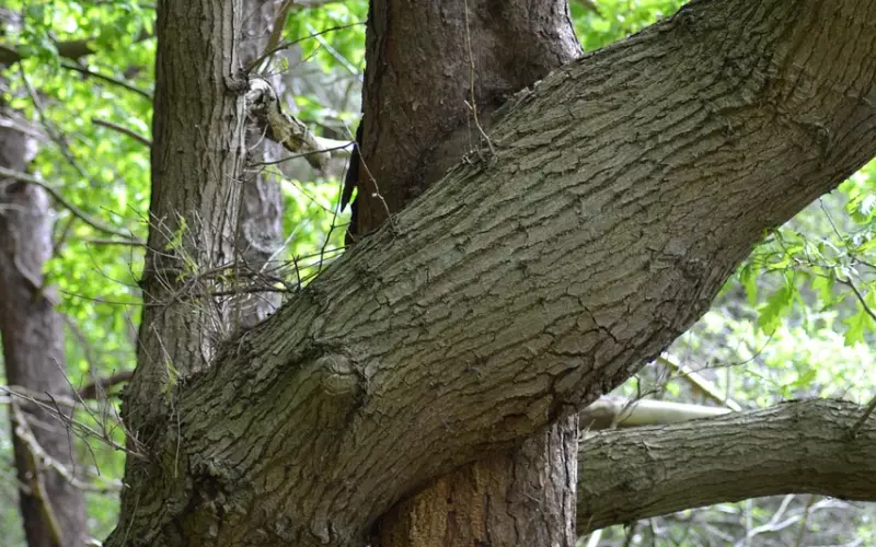 挽回爱情妙招之分手后怎么挽回水瓶座男友