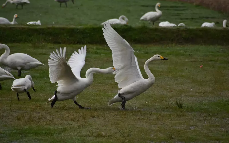 挽回男友秘籍：矛盾争吵分手，该如何挽回前任