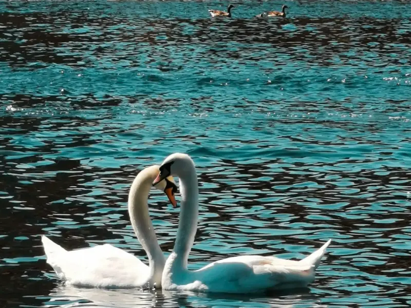 挽回男友技巧：聪明女人必会的挽回男友绝招，分手后怎么快速挽回男朋友