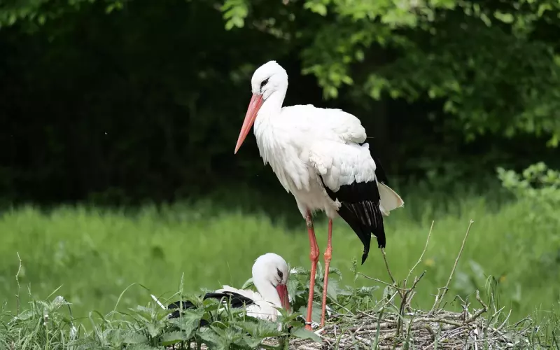 挽回男友的技巧：男友对我冷bl，还值得挽回吗？