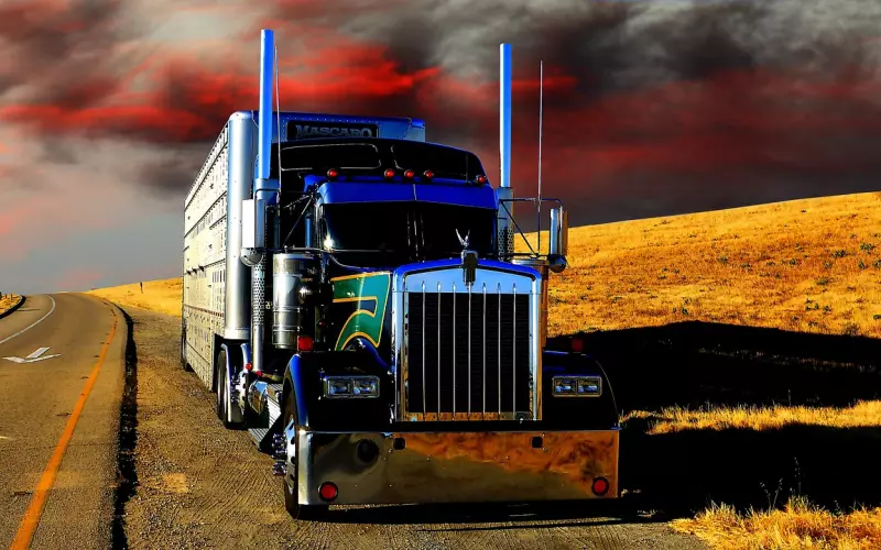 挽回男友的绝招：跟曾经深爱的男友形同陌路，该怎么挽回？