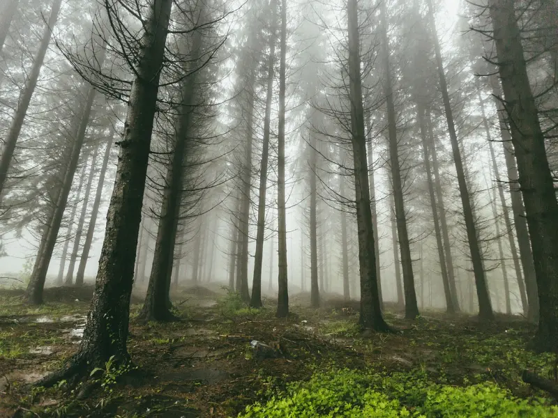 挽回男友的技巧：有这三种表现，表明男友心理还是有你的