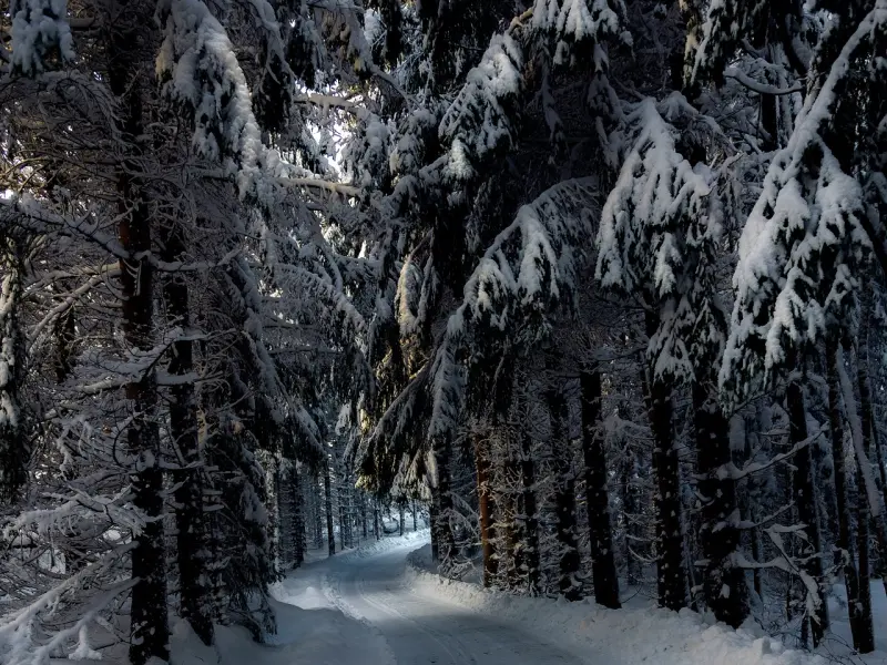 挽回男友绝招：三个办法教你挽回男友的方法，成功挽回前男友