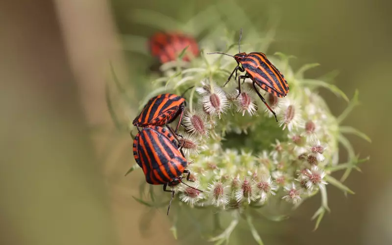 挽回男友诀窍：挽回男友哪些错误不能犯？