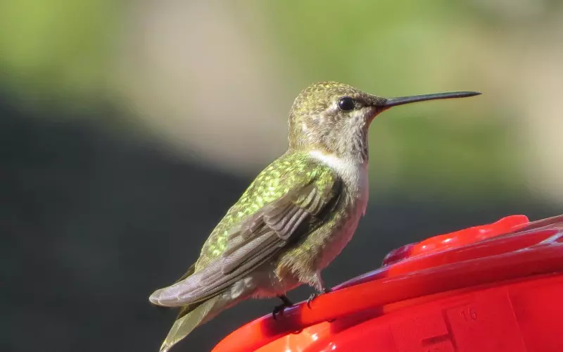 挽回男友技巧之如何用话语拉近你们的距离