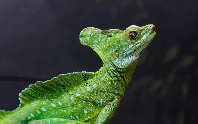 挽回男友技巧：恋爱总是踩雷区不分手才怪