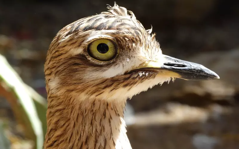 挽回女友小妙招,原来挽回真的有小妙招