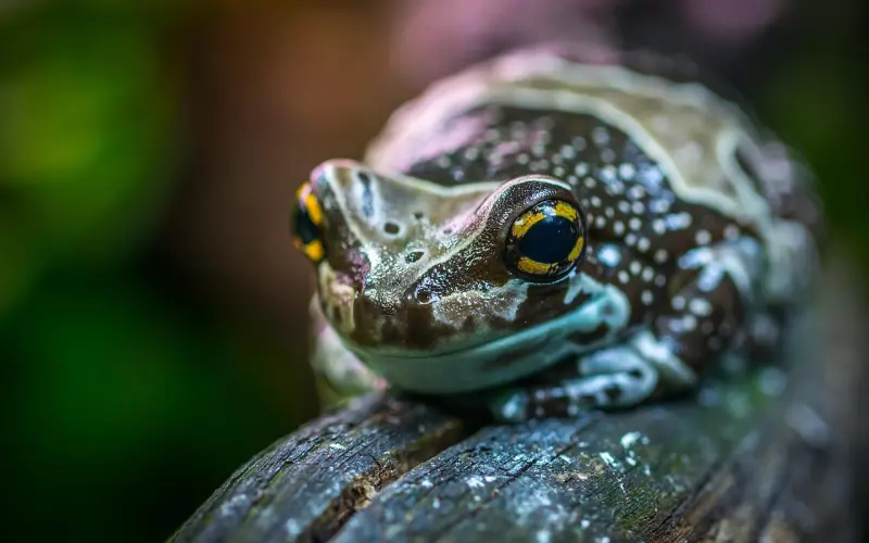 挽回女友小妙招,我的天，为什么别人可以这样挽回女朋友