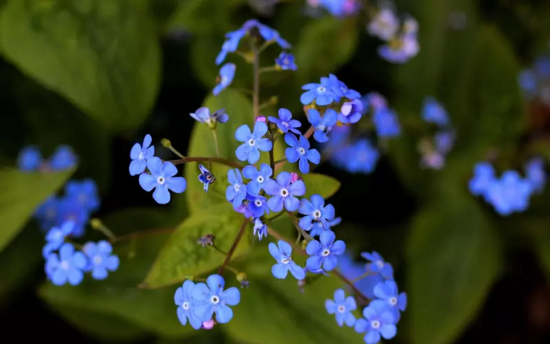 挽回女友小妙招,我的天，原来挽回女朋友可以这么简单