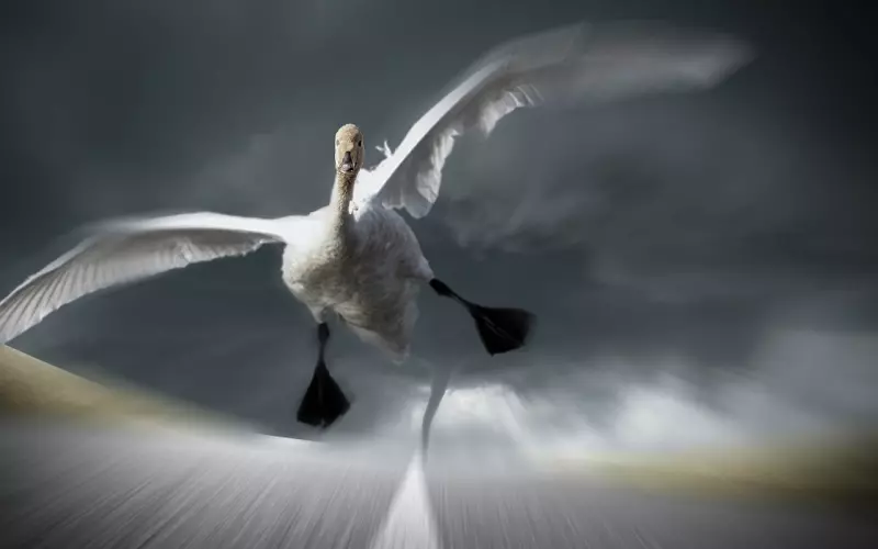 挽回女友套路：如何挽回前任，挽回方法全攻略