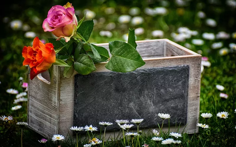 挽回女友秘籍：想顺利挽回女友，就先要学会爱她