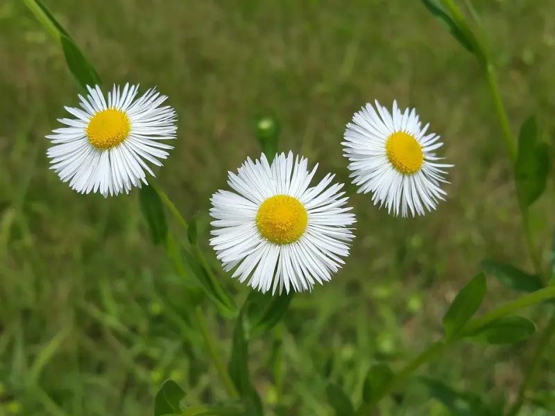 挽回女友秘诀：想挽回女友先提升自己的能力