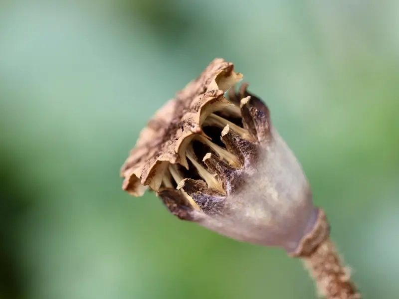 挽回女友技巧，用这几种方法，重新挽回你的爱情