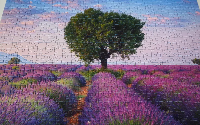 挽回女友的绝招：跟在一起几年的女友分手了，该如何挽回？