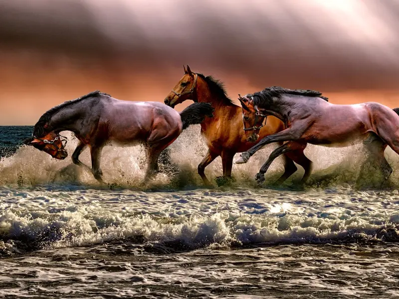 挽回女友的技巧：恋爱导师分享的挽回女友的三招，让女友回来