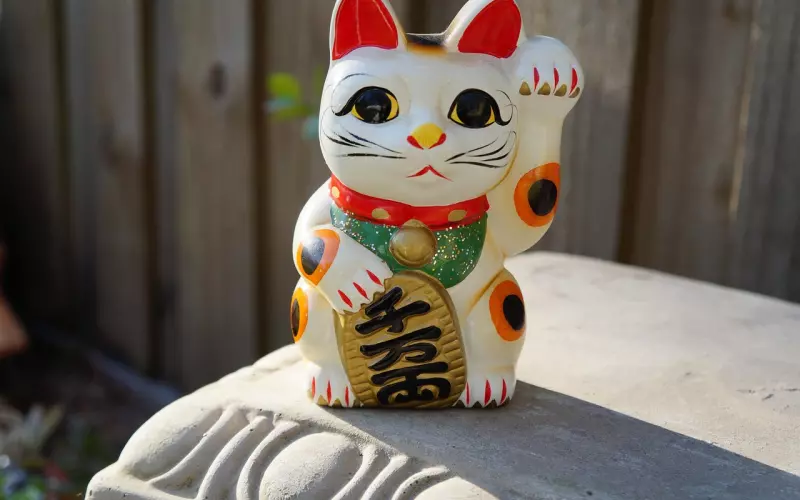 挽回老公的妙招：挽救婚姻需要巧妙的运用这几招，挽回老公