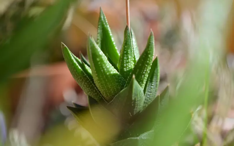 挽回老公的技巧：学会真正的挽回老公的技巧，让他对你死心塌地