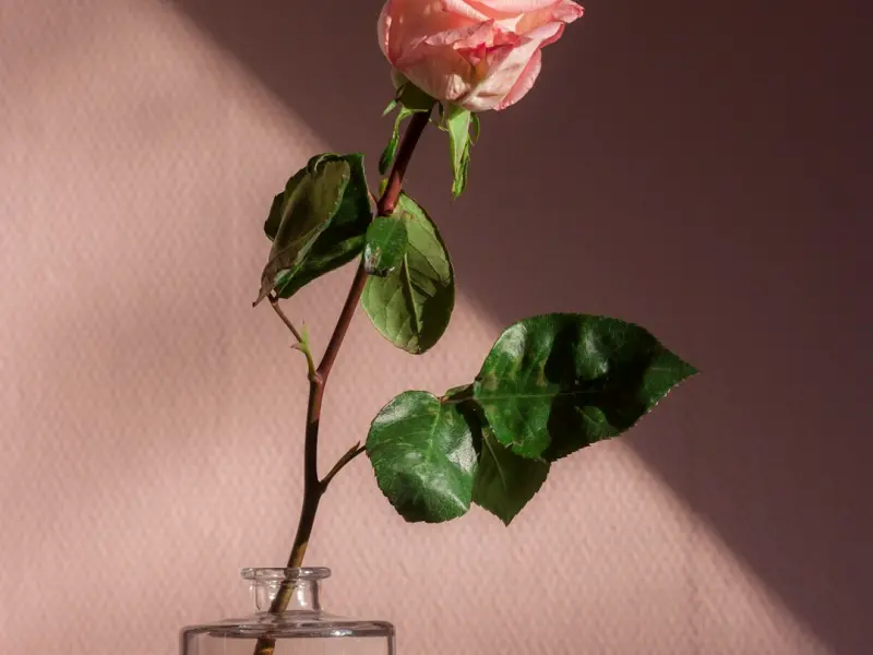 挽回老公的技巧：挽回变心的老公，女人一定要明白这三点