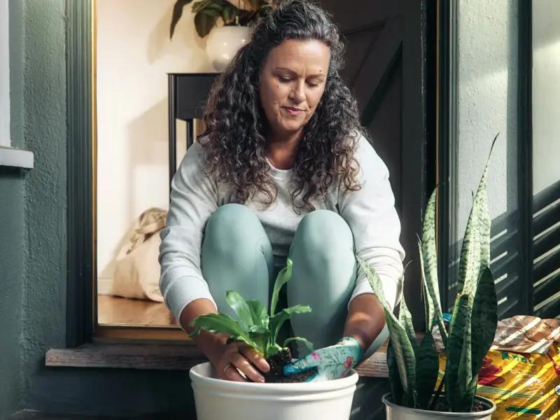 挽回老公秘籍：老公坚决要离婚，该怎么挽回老公的心