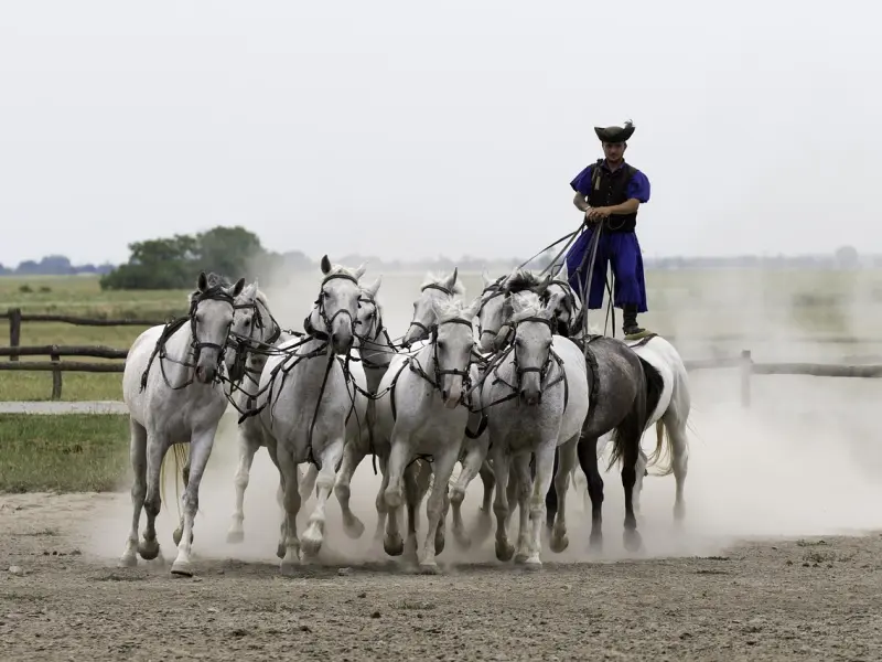 挽回老婆的技巧，微信你要利用起来