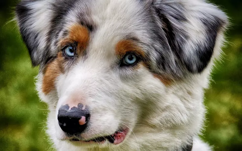 挽回老婆的技巧，千万别轻易放弃