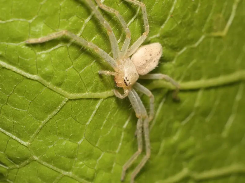 挽回星座男友技巧：天秤座真的喜欢一个人会怎么挽回