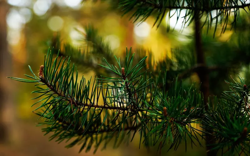 ???累 ??累 ??累 ??累 ??累 ??累 ??累