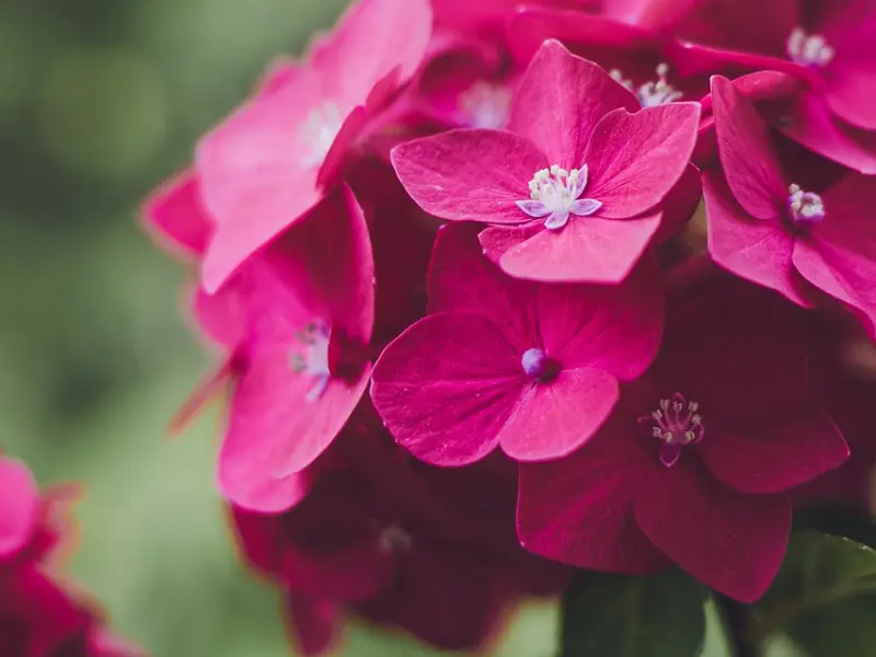 写给所有女人的：请一定远离这5种所谓的“好男人”