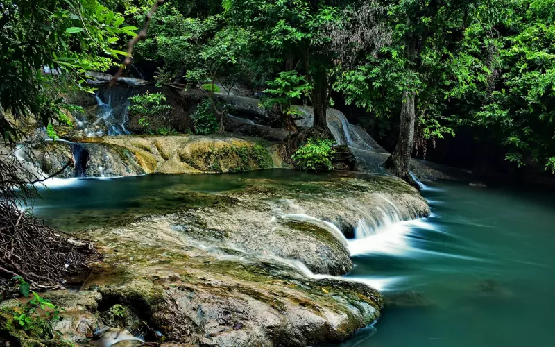 做人，一定要有良心!