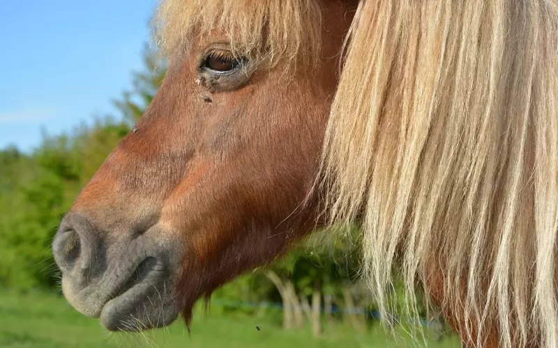 对付小三，得用这些方法……