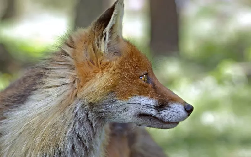 挽回前任，你需要注意这一点！