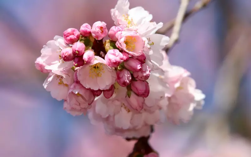 致李X璐：你并没错，只是比其他妇女勇敢了一点点