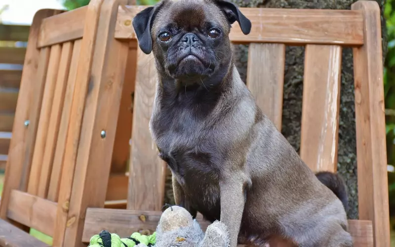 让前男友乖乖听话，这一诀窍必须学习