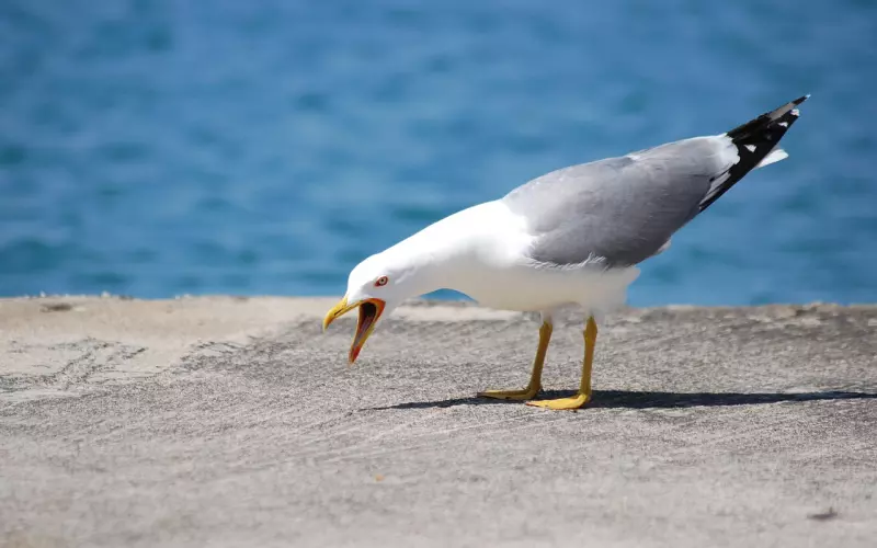 致自己！（看哭了）