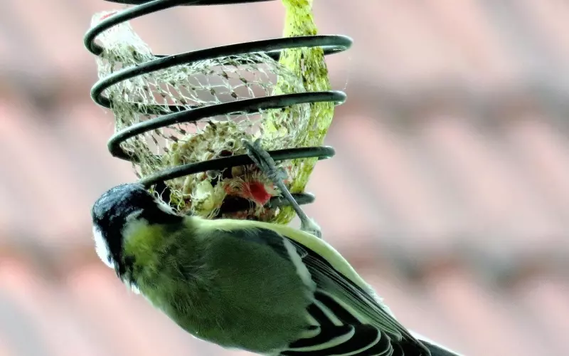 预防老公出轨，从踏进婚姻的一刻做起
