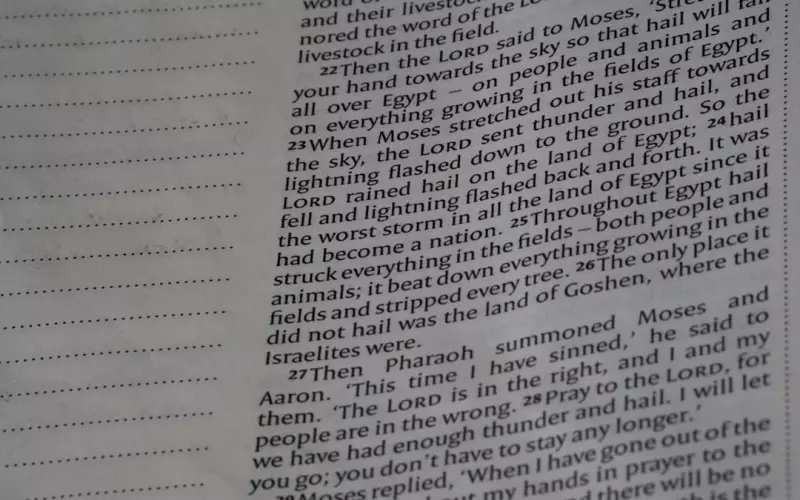 异地恋挽回直接去见面挽回(异地恋想分手了要挽回该怎么办)