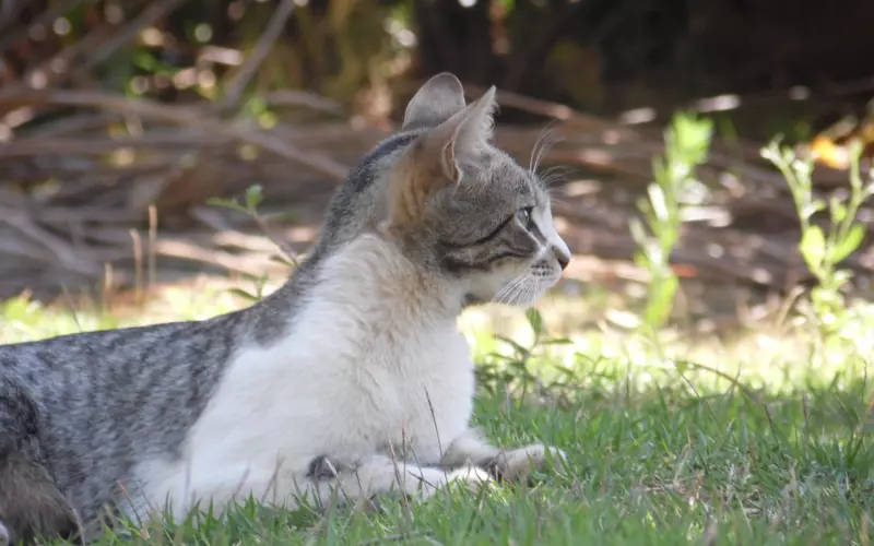 挽回到底是继续联系还是断联