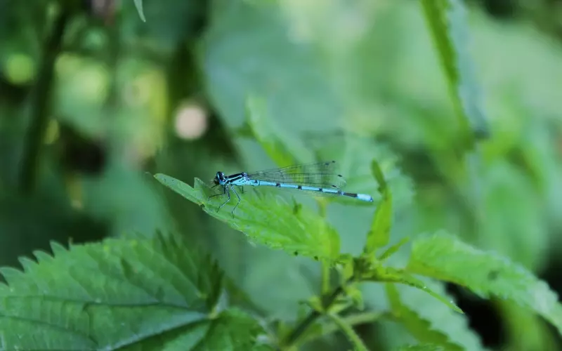 追回前男友，正确的挽回方法很重要