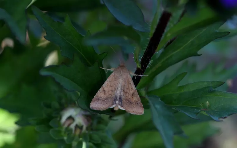 挽回爱情，你知道前男友的弱点在哪里吗