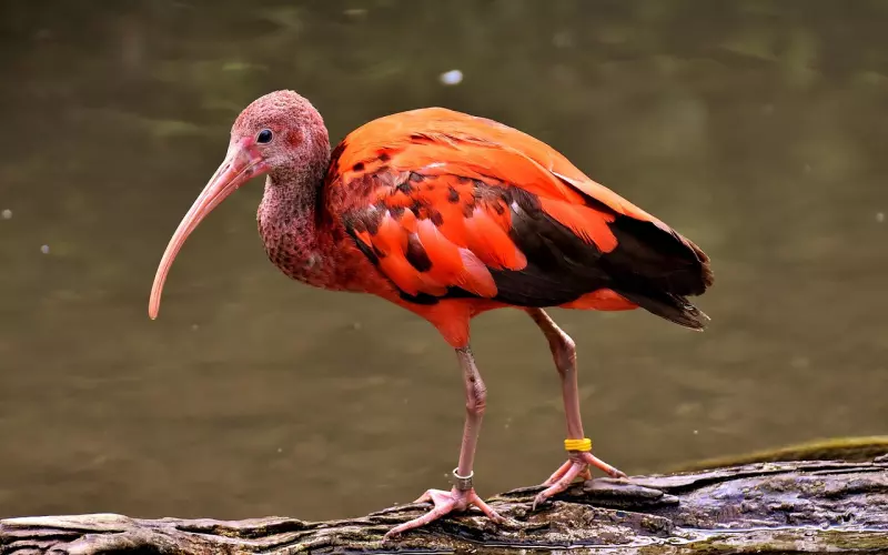 挽回爱情：让前男友必回的短信应该这样写！