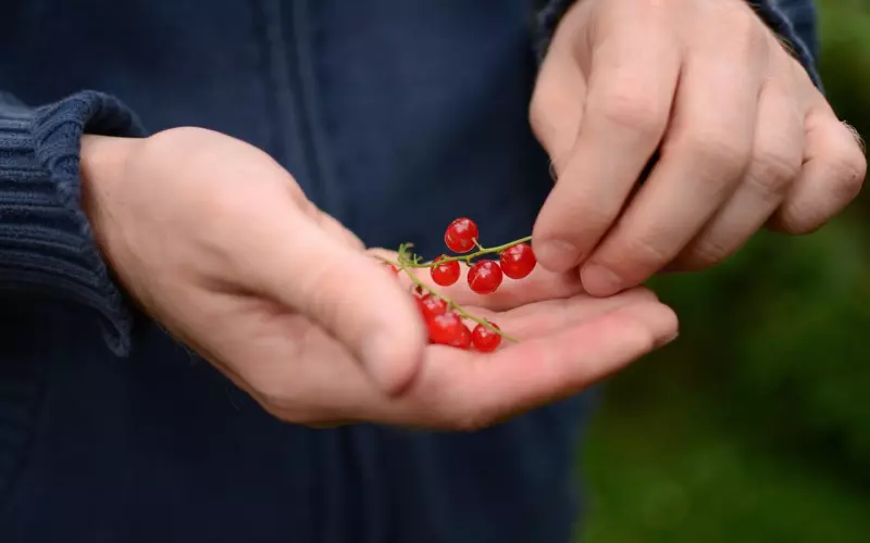挽回爱情应有重要心态 决定挽回成败