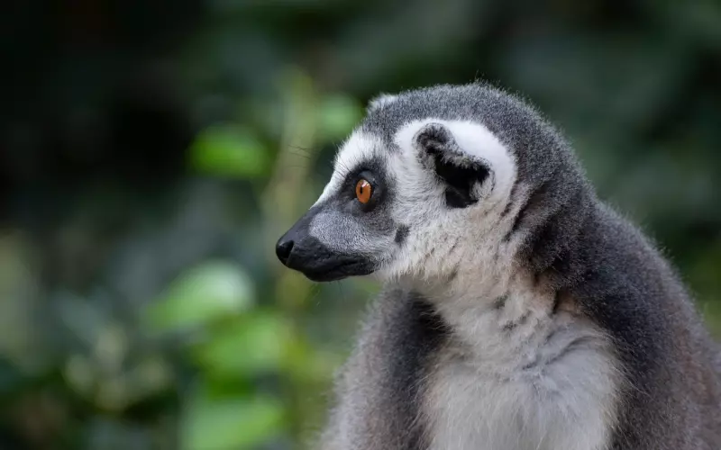 挽回最佳亲密关系，首先要学会说话方式