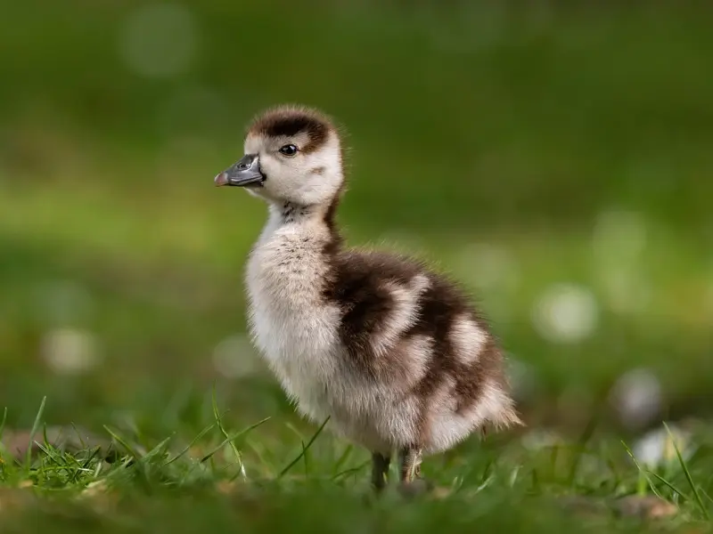 挽回破碎的婚姻，男人需要做好这三点