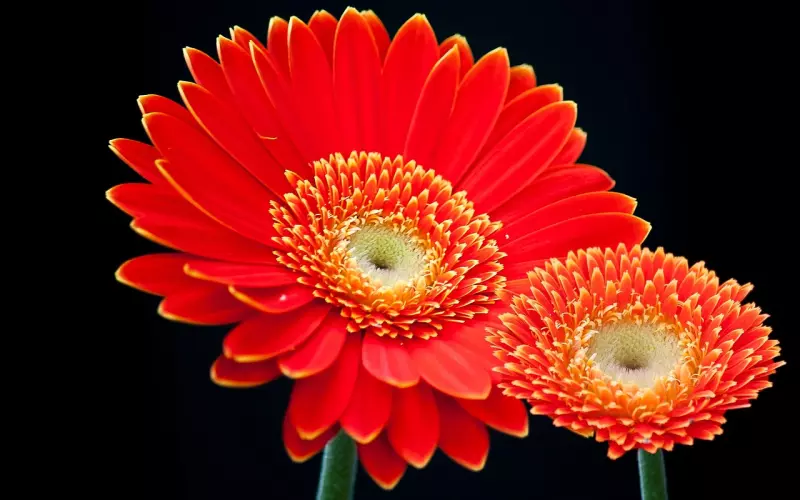 挽回爱情，如何引导男人为你投资？