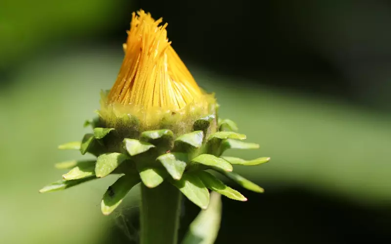挽回爱情，复联后才是挽回的真正开始