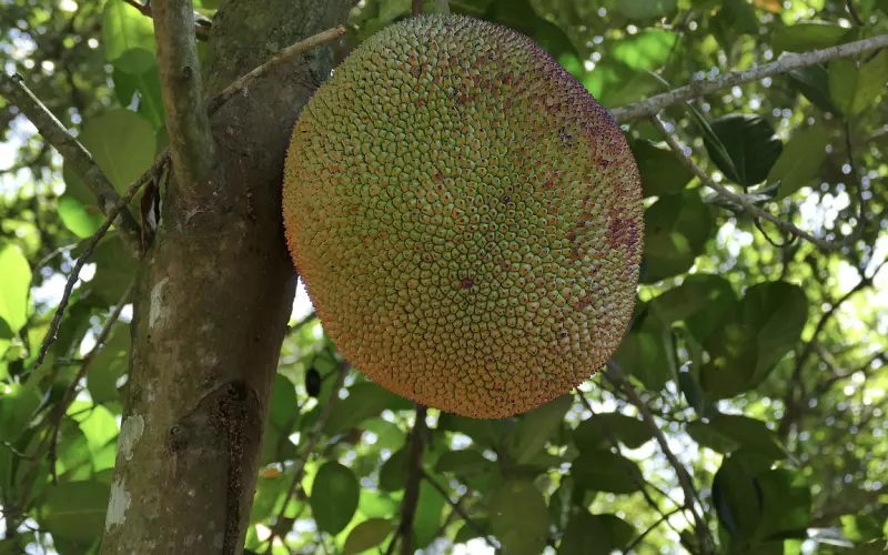 挽回爱情，要做到“狠”跟“忍”