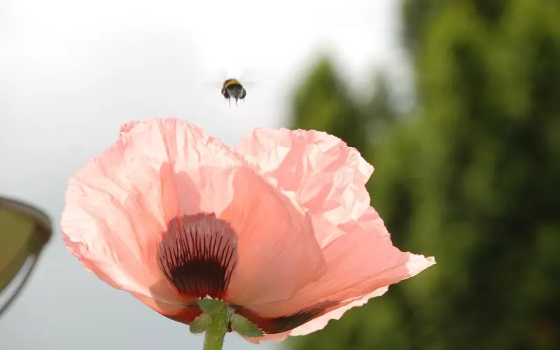 挽回爱情，先得从自身出发