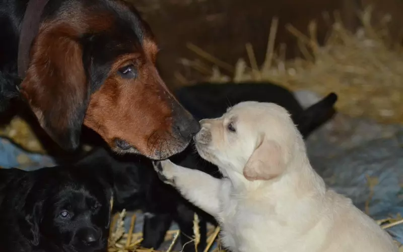 挽回爱情必须要舍弃3样东西